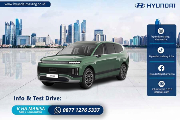 Ioniq 9